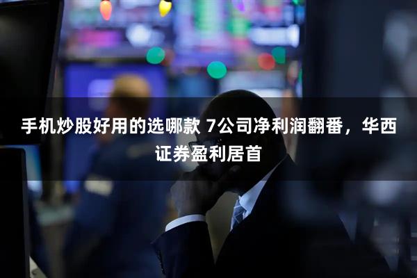 手机炒股好用的选哪款 7公司净利润翻番，华西证券盈利居首